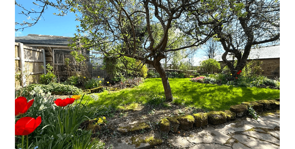 Property Image 27