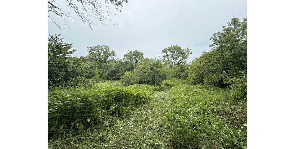 Property Image 0