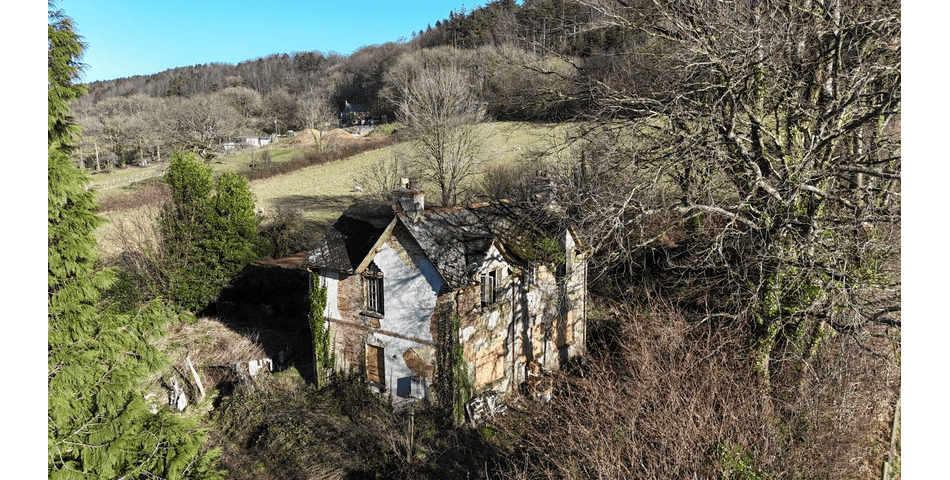 Property Image 0