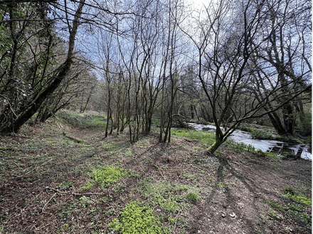 Land at Looe Mills - Liskeard