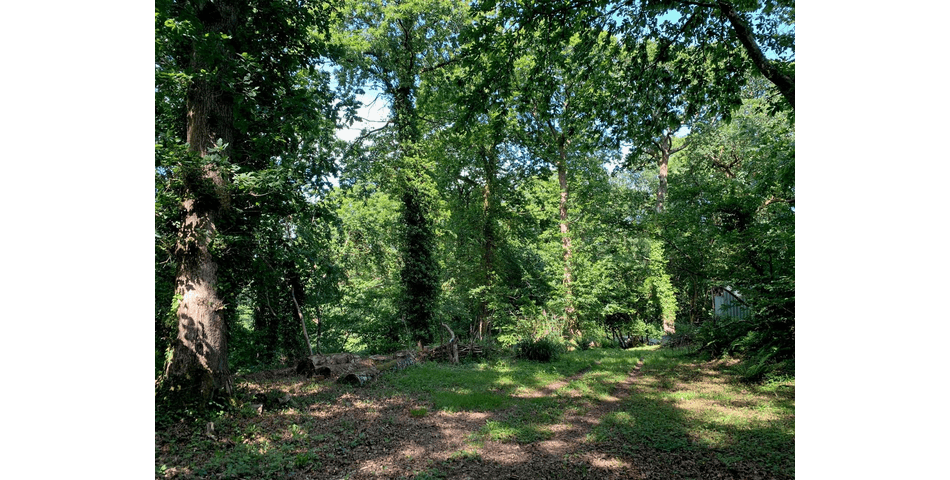 Property Image 0