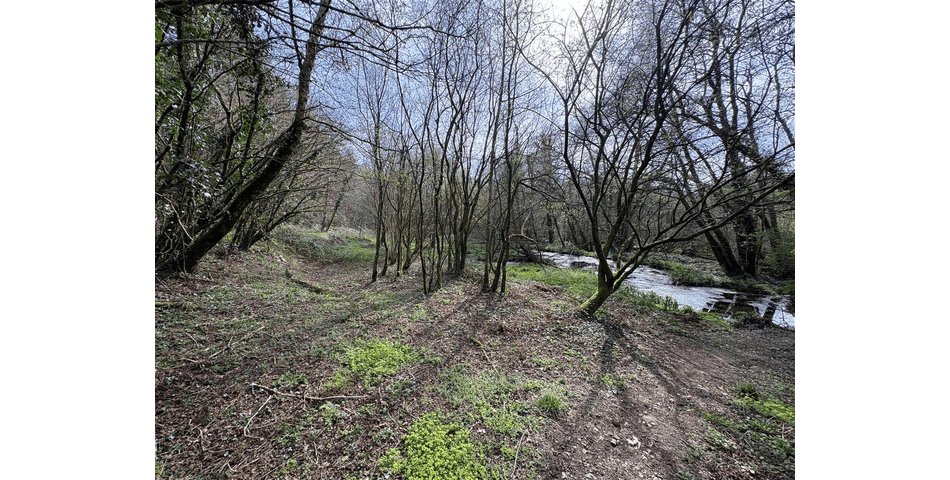 Property Image 0