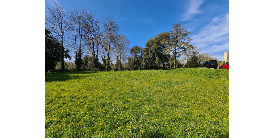 Property Image 0
