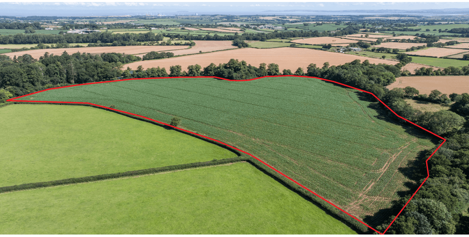 Property Image 0