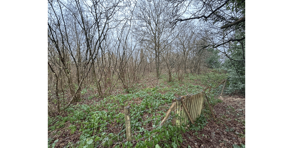 Property Image 0