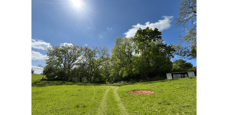 Property Image 0