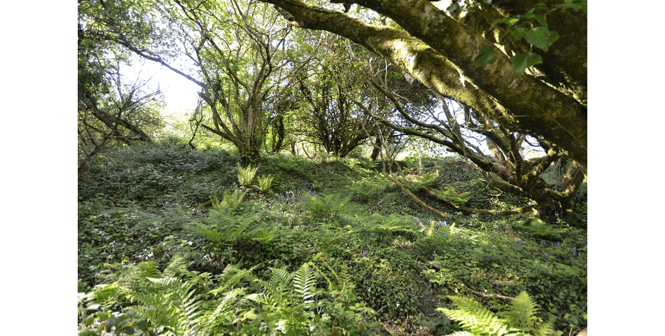 Property Image 30