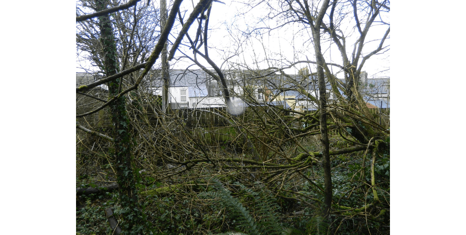 Property Image 0