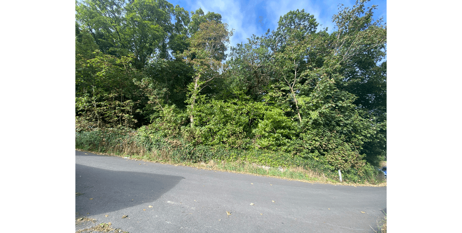 Property Image 0