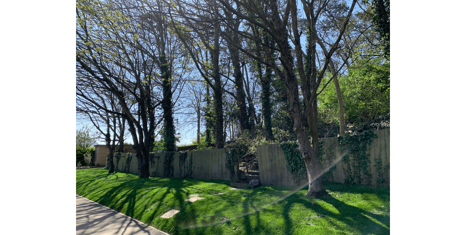 Property Image 0