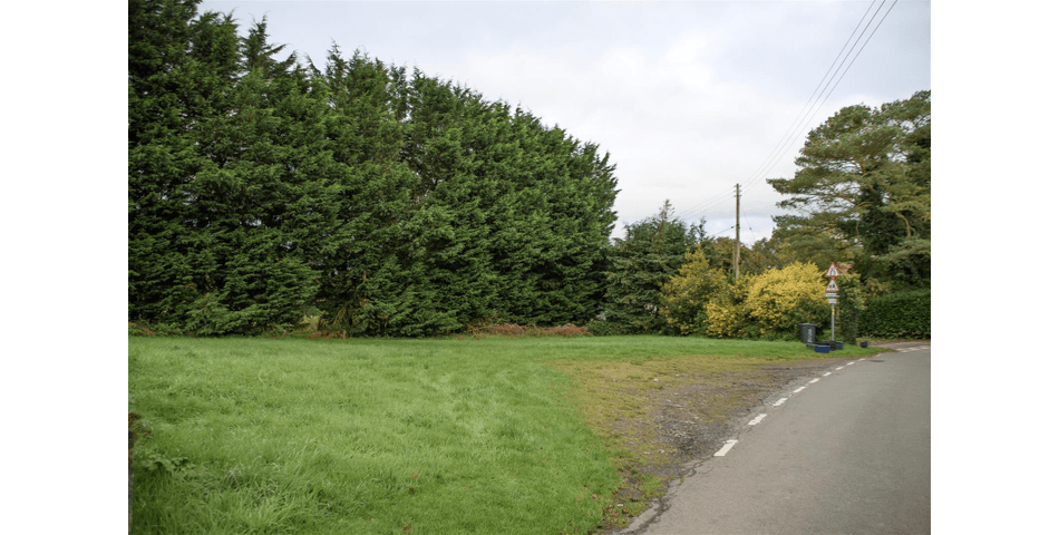 Property Image 0
