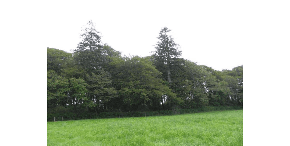 Property Image 0