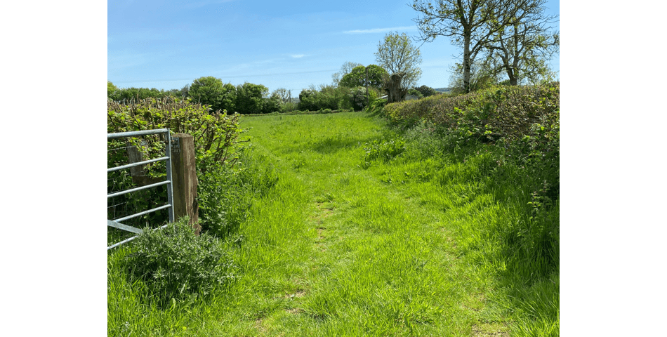 Property Image 0