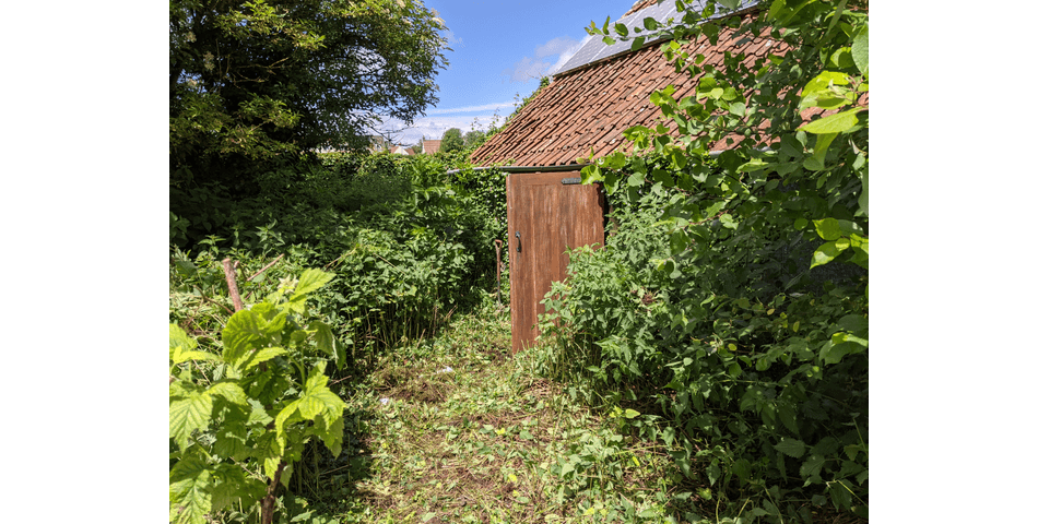 Property Image 13