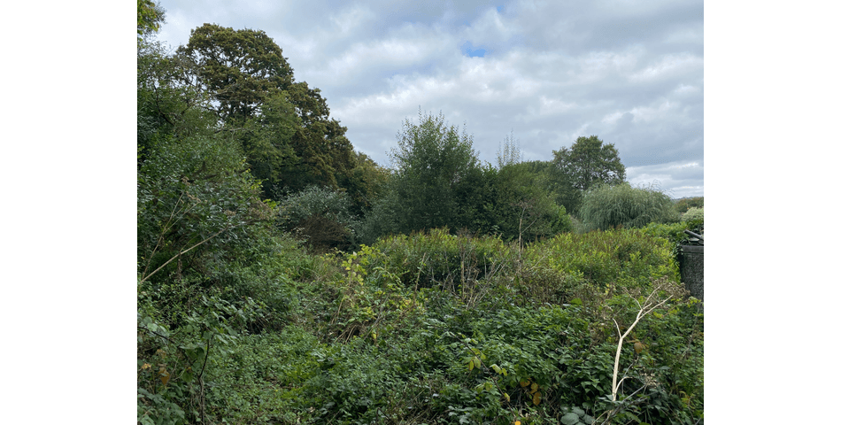 Property Image 0