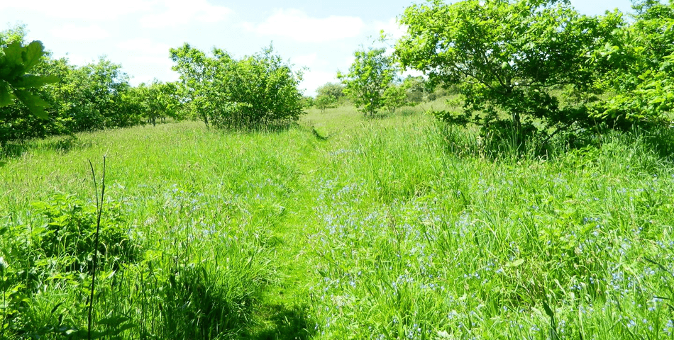 Property Image 0