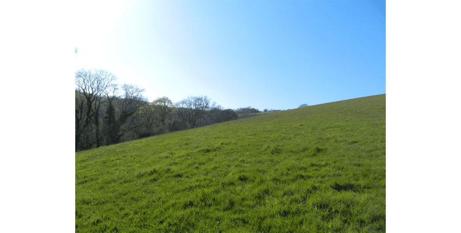 Property Image 0
