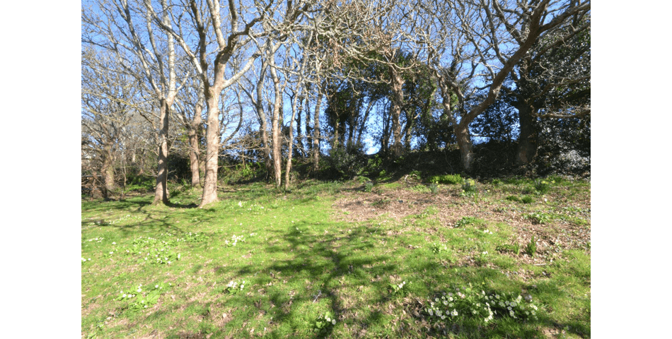 Property Image 0