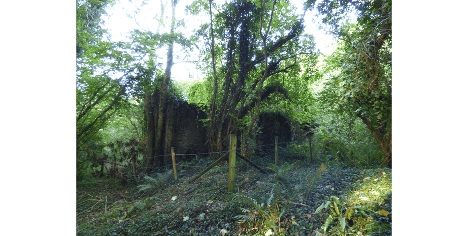 Property Image 0
