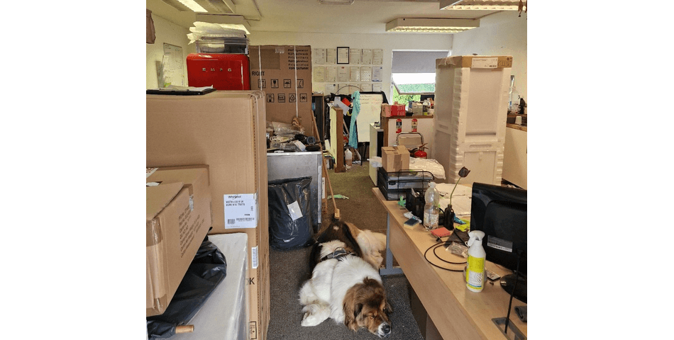 Property Image 5