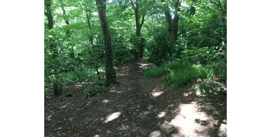 Property Image 0