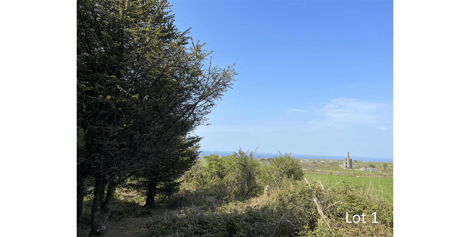 Property Image 0
