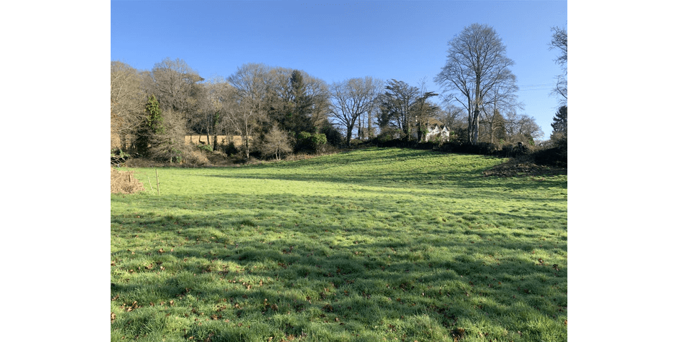 Property Image 0