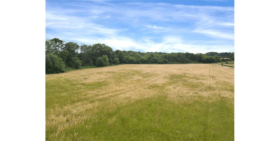 Property Image 0