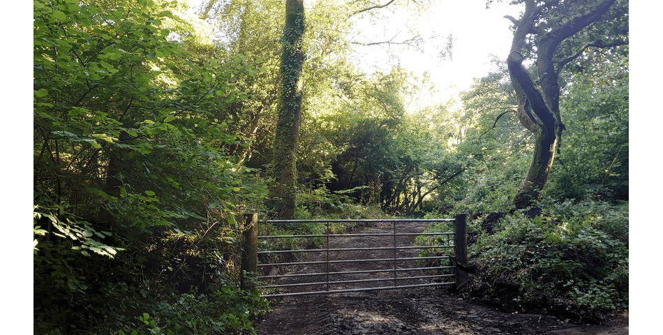 Property Image 0