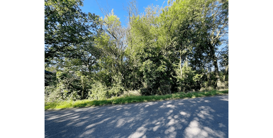 Property Image 0