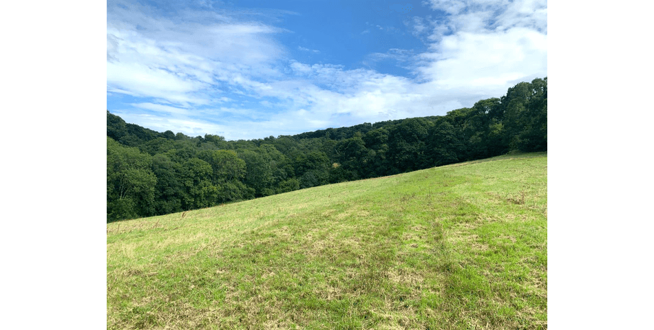 Property Image 0