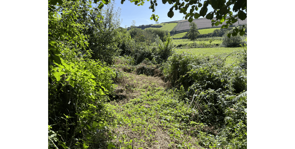 Property Image 0