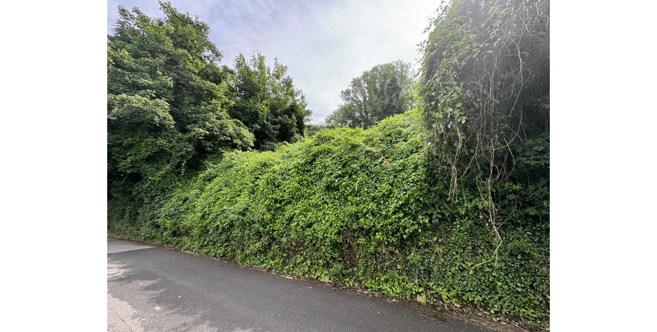 Property Image 0