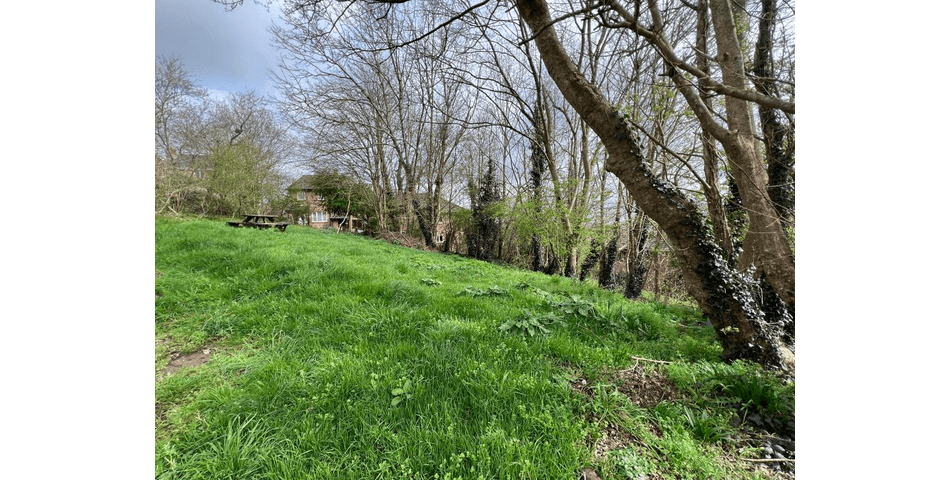 Property Image 0