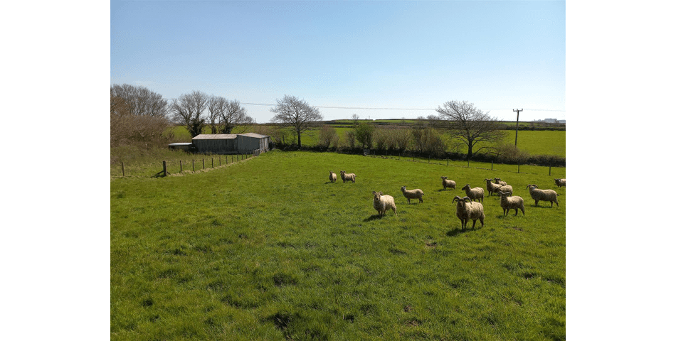 Property Image 0
