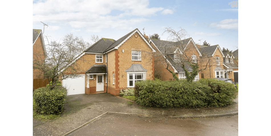 Property Image 0