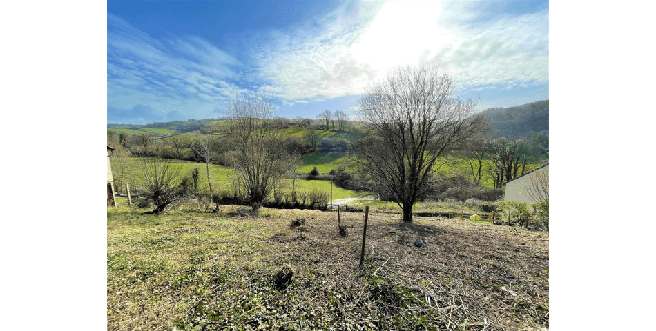 Property Image 0
