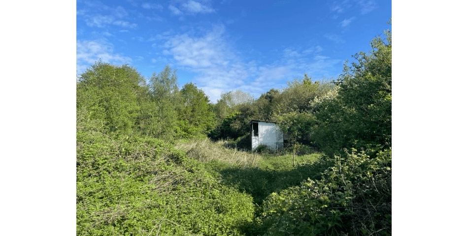Property Image 0