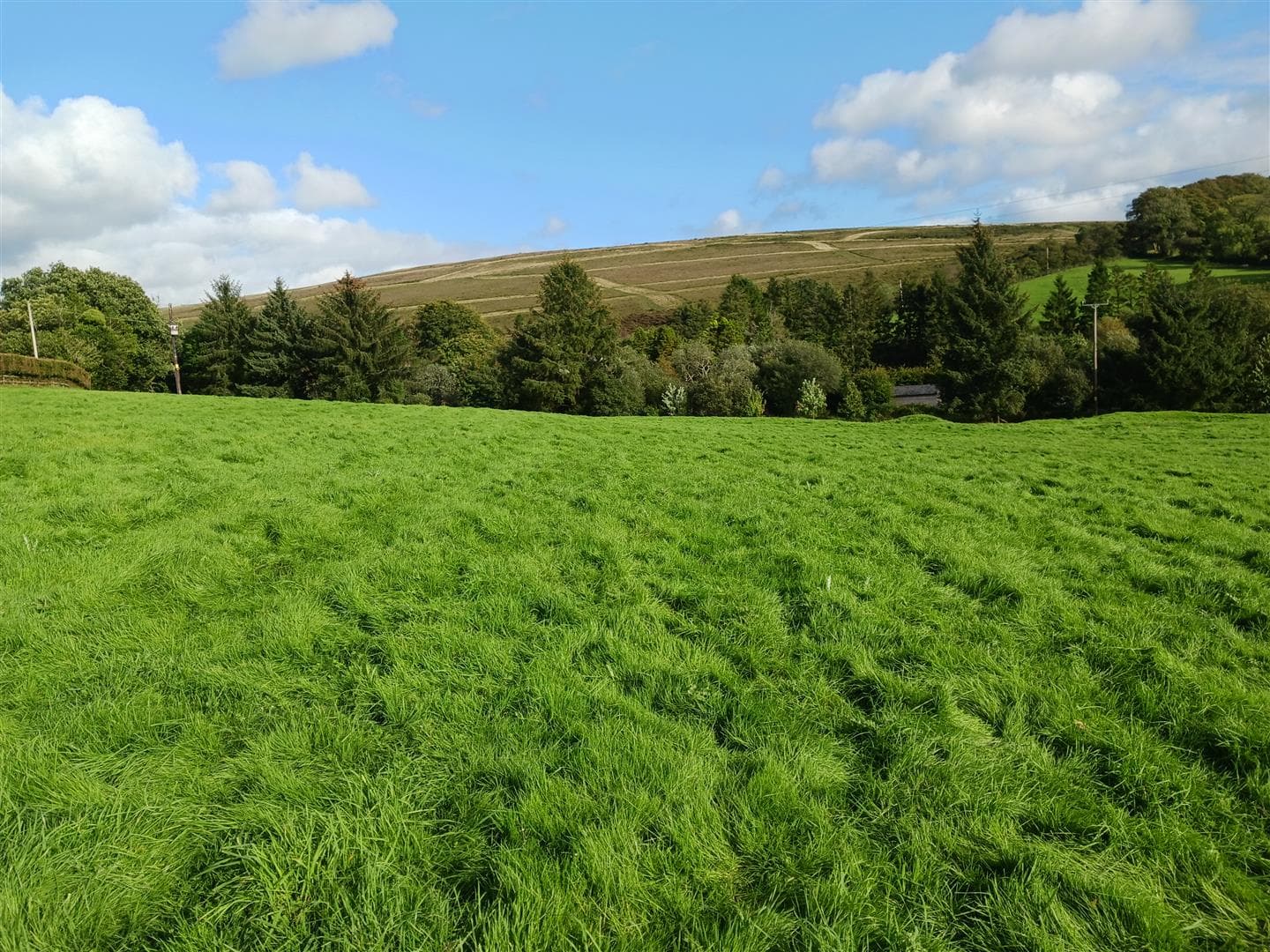 Property Image 0