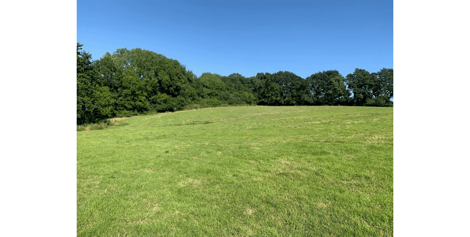 Property Image 0
