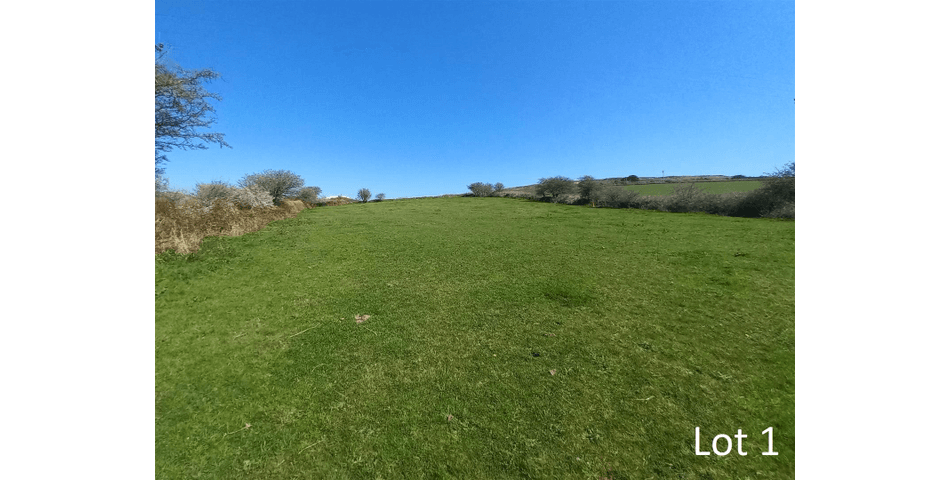 Property Image 0