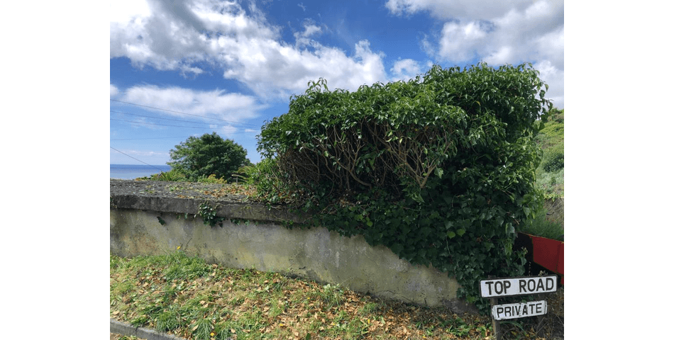 Property Image 0
