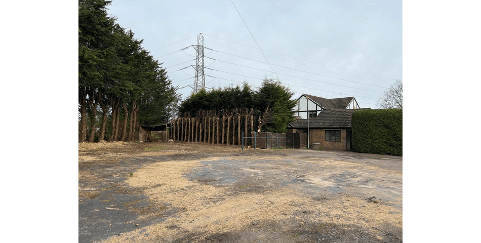 Property Image 0
