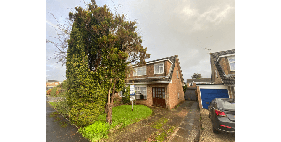 Property Image 0