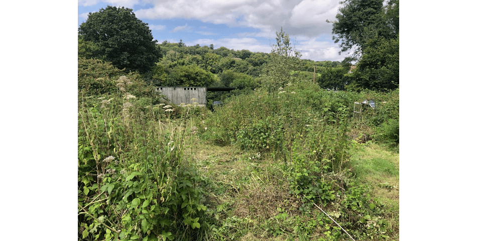 Property Image 0