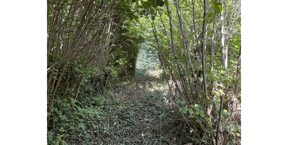 Property Image 0