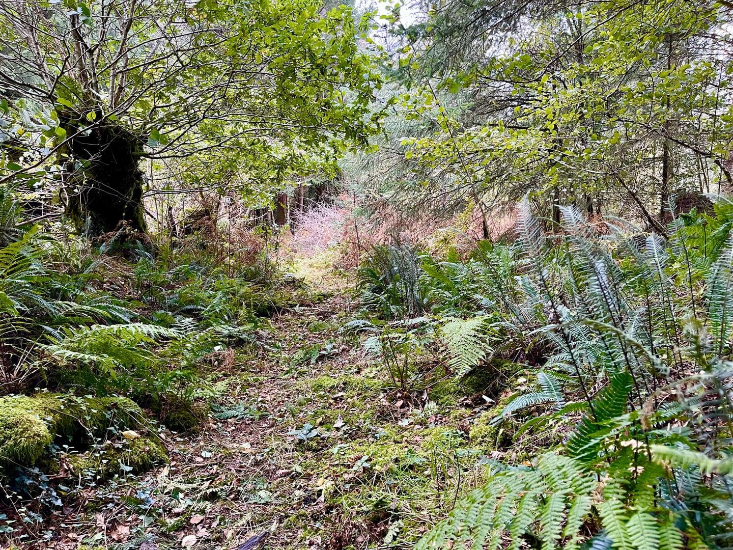 Property Image 0