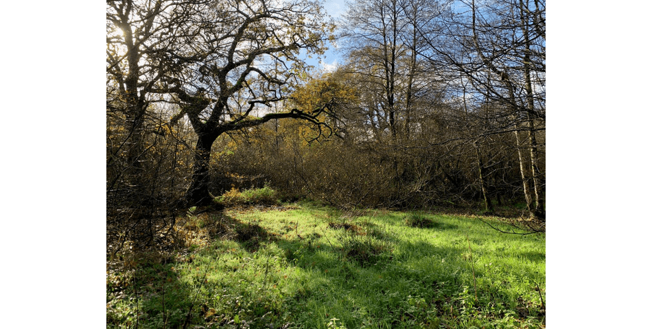 Property Image 0