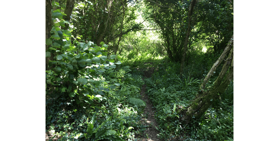 Property Image 0