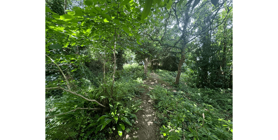 Property Image 0